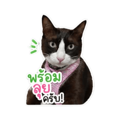 Superbom Sticker_20260428183913