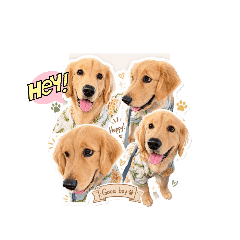 Mugi_20260518115007