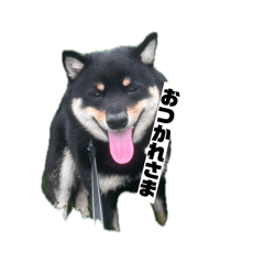 Yu_20260518120331