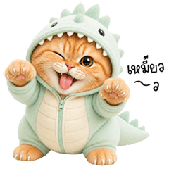 แมวส้มไดโน ตัวตึง ตาใส Orange cat