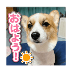 uyuchan_20260518132142