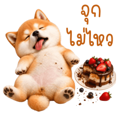 ❤️หมาชิบะ ตัวตึง❤️