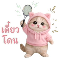Cotton Tough Kitty : Watch Out