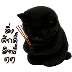 Slim Black cat