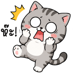 Grey Cat Annoying! Tuatung