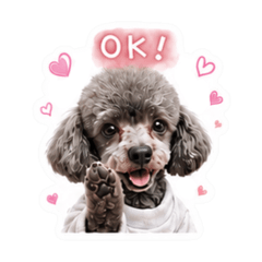 RuNa_20260518202319