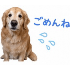 YUKA_326216