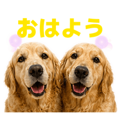 yuka_20260518210126