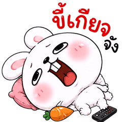 Lazy Bunny ny