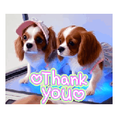 KURU_20260524090016
