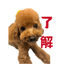 mugi_20260518