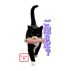 Nyankichi-kun's Stamp 2