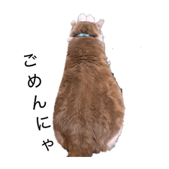 c_20260518194457