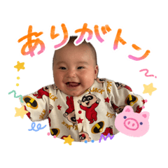 shio_20260518213923