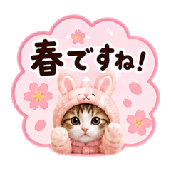 merumyu_20260518213731
