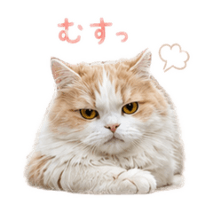 potato_20260518162312