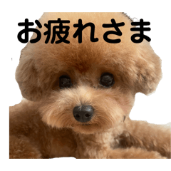 ma_20260518162607