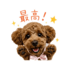 rena_20260518162809