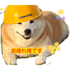Mona_20260518205110