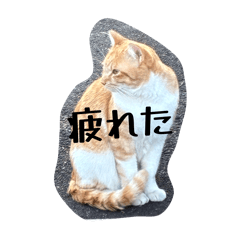 hiro_20260518205351