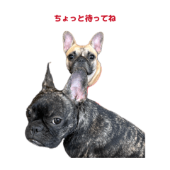 rin_20260518205210