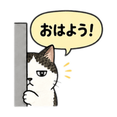 Ram_20260518205741