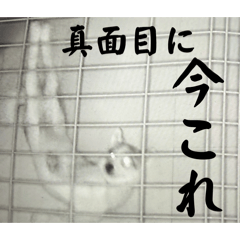 HAYASHI_20260518162817