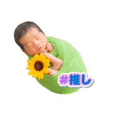 jun_20260518222100