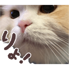 DAMACON_20260518222346