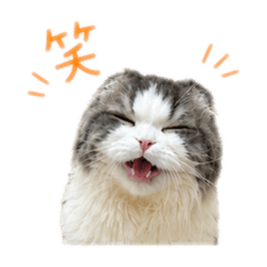 Mimudayo_20260518222334