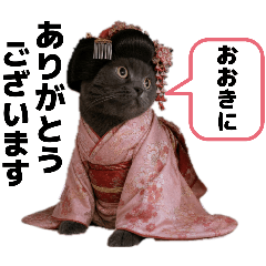 Rie_20260518221943