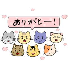 7 cute cats