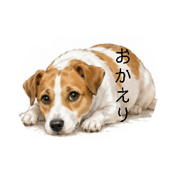 tanaka_20260518222451