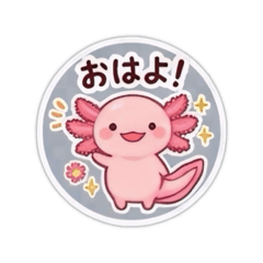 m-cha_20260518201633