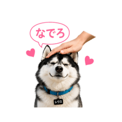 reusu_20260518223300