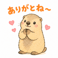 Cute Marmot Daily Stickers