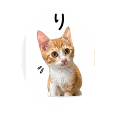 mochifumi_20260519053536