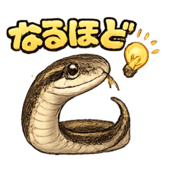 CHAO_20260519054953