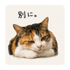 mochifumi_20260519055212