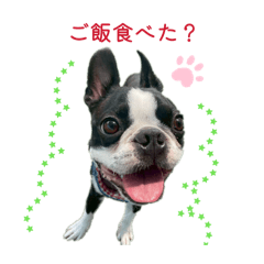 etsuko_20260518232744