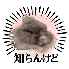 nana_202605190802