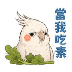 艾比與她的肉雞好朋友(各種回)