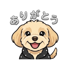 KOKO_20260519000053