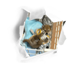 hmwr_20260519090949
