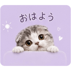 ymym_20260519085220