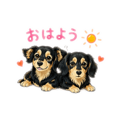 Bell & Ran_20260518225100