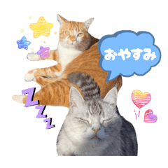 fuk_20260518225556