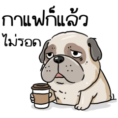 Drama Paw Society