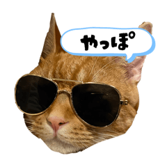 a_20260508232624