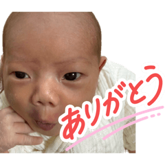 yasuharu_20260519081737